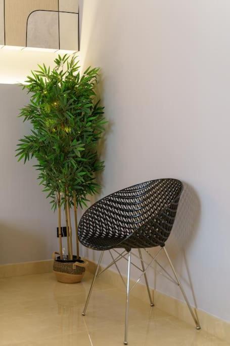 Apartment Domus Lavica CTA